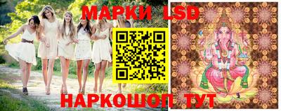 крисы Кинель