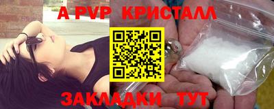 крисы Кинель
